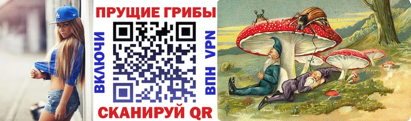 Псилоцибиновые грибы MAGIC MUSHROOMS Тавда