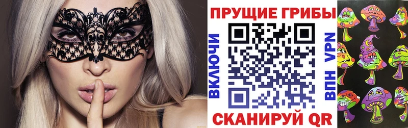 Галлюциногенные грибы Psilocybine cubensis  Тавда 